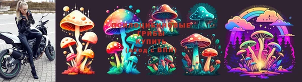 прущая мука Белокуриха