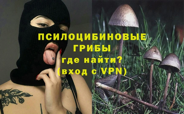 Альфа ПВП Беломорск
