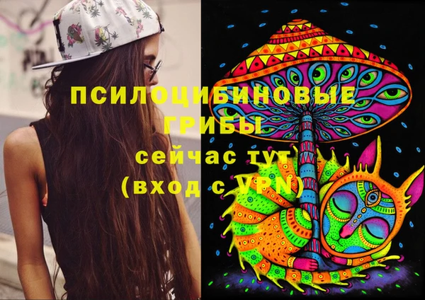 прущая мука Белокуриха