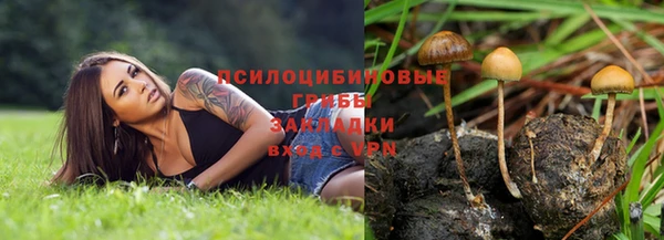 Альфа ПВП Беломорск