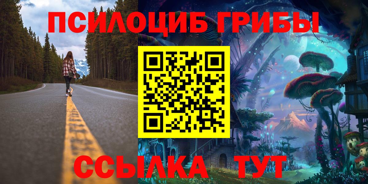 Вятские Поляны  Галлюциногенные грибы Psilocybe  Псилоцибиновые грибы ЛСД  Вход с VPN 